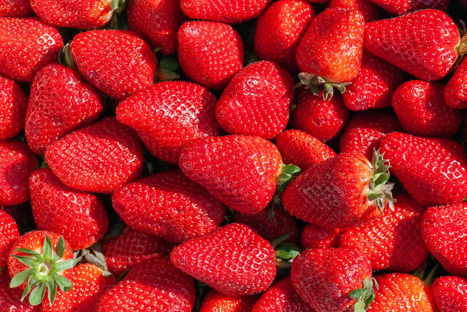 Fresh red strawberries piled on green leaves