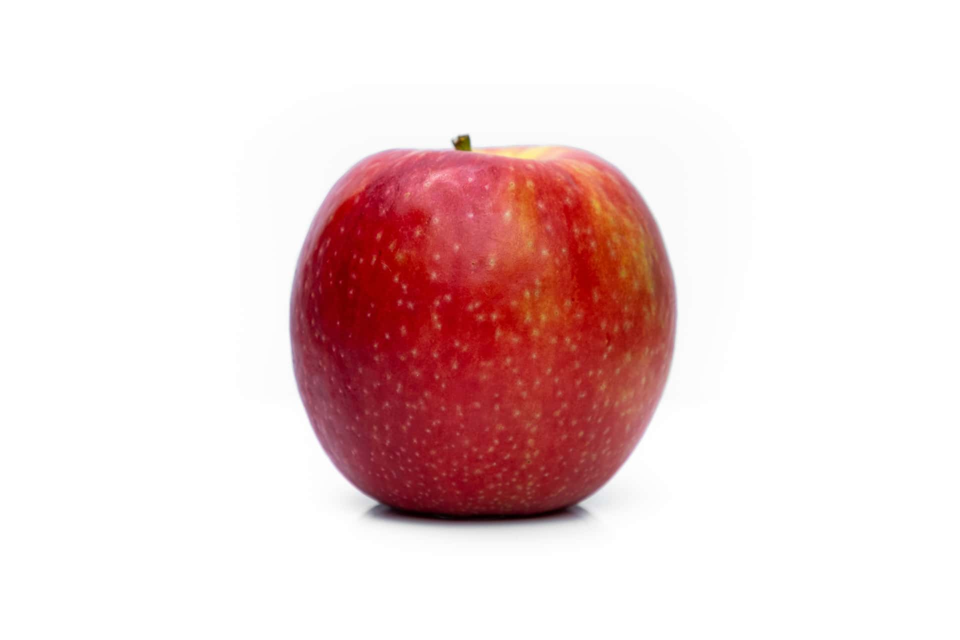 A single red apple