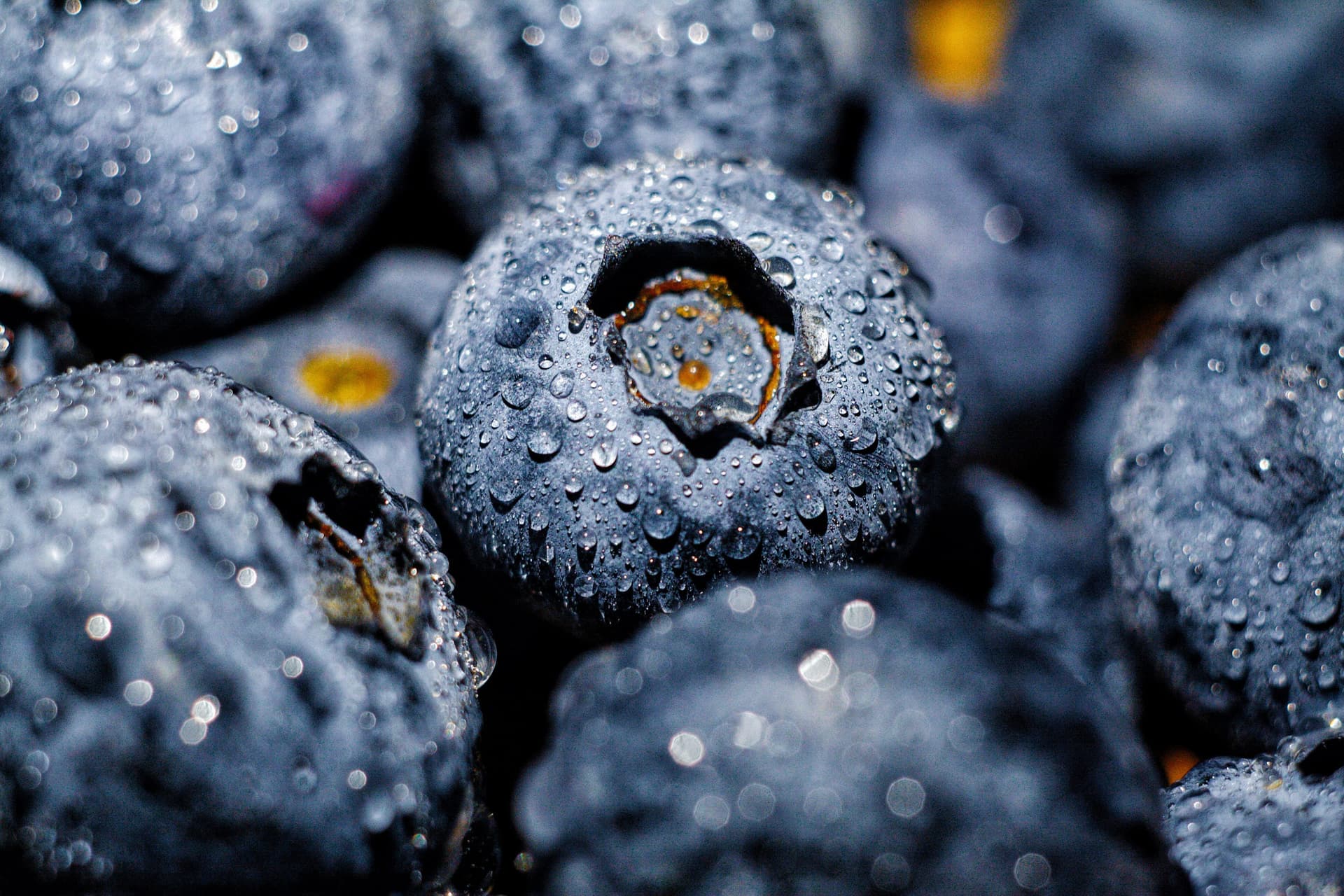 Close-up of fresh blueberries covered in water droplets